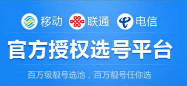 中国铁通服务热线与网络技术服务指南